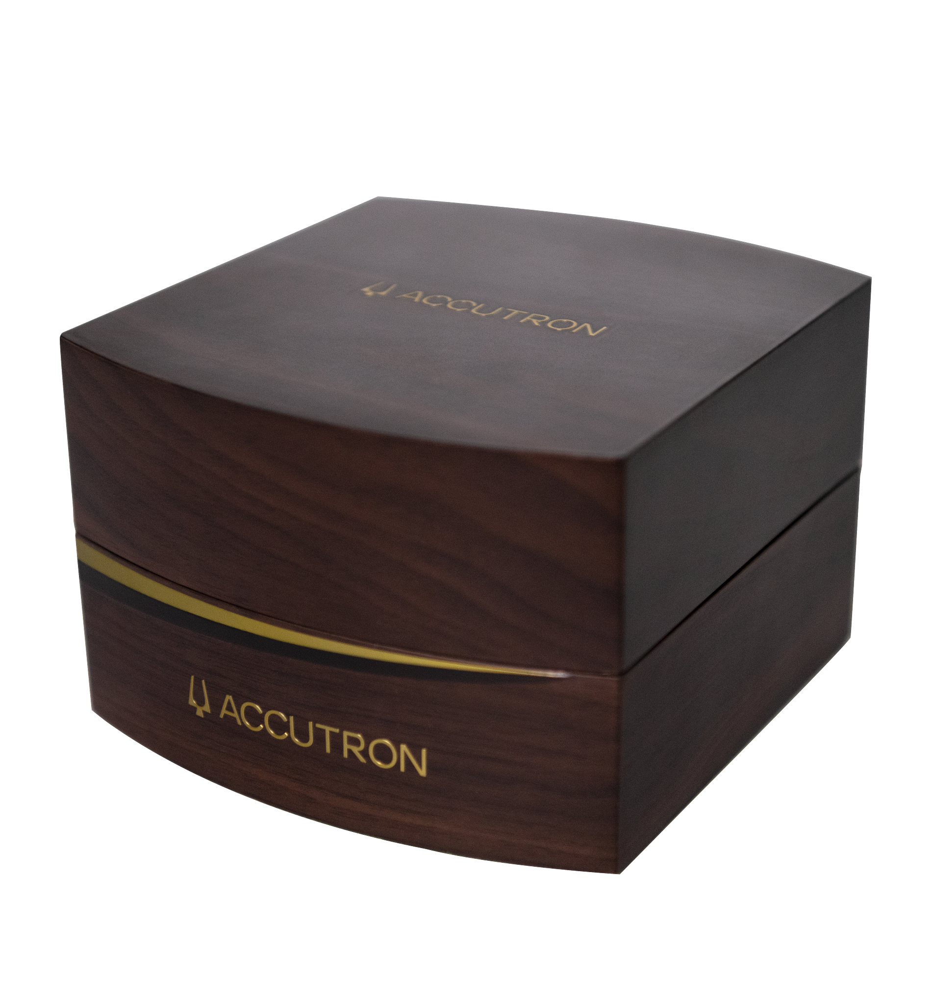 Spaceview Evolution Watch 26A210 | ACCUTRON